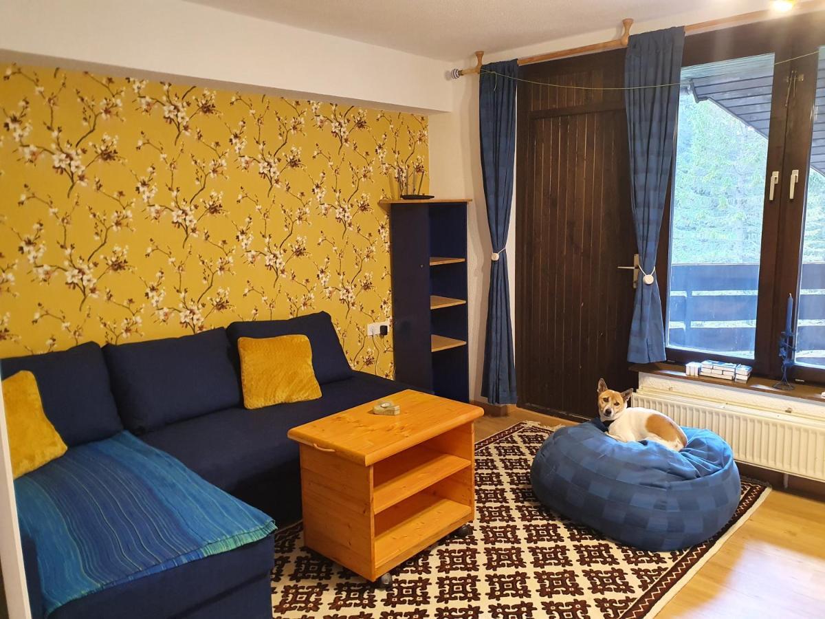 M & M Apartment Krvavec Cerklje na Gorenjskem Ngoại thất bức ảnh